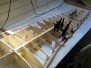 Bearcat project
